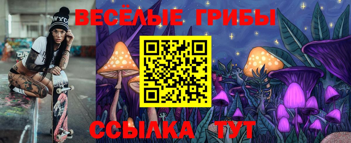 Галлюциногенные грибы GOLDEN TEACHER  Вход с VPN  Лыткарино  Галлюциногенные грибы Psilocybe 