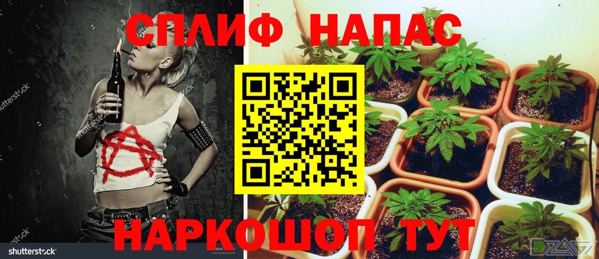 Марихуана сатива Лыткарино